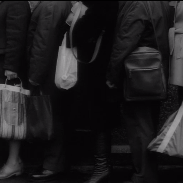 Polish Documentary