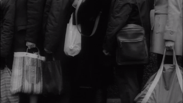 Polish Documentary