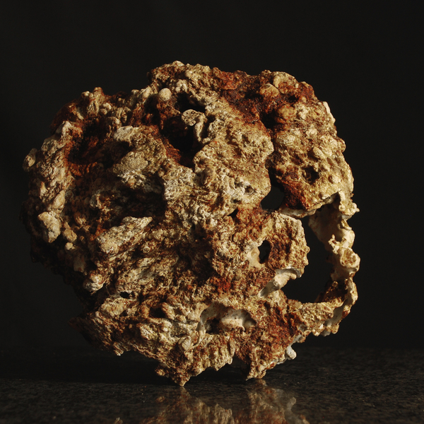 Deposit: ossified CleanMeat