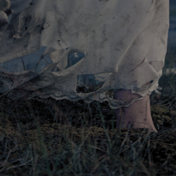 Short Film 8: Flights of Fancy