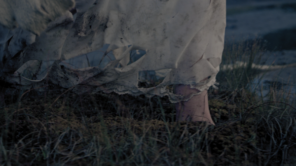 Short Film 8: Flights of Fancy