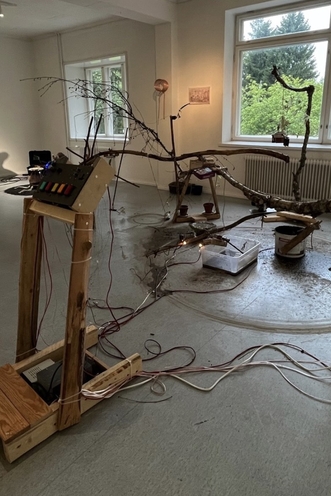 Situating Repair Cultures