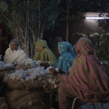 A group of women sitting around bags of cotton.