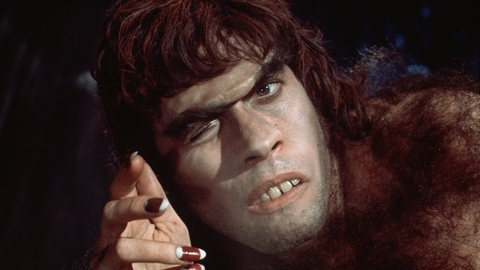 Hellfire Video Club Presents The Final Programme - hairy man