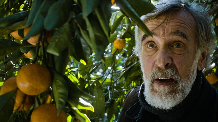 Tangerines