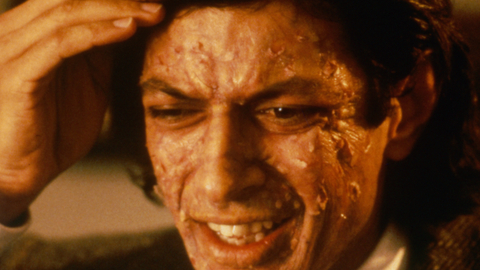 The Fly