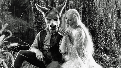 Midsummer’s Night Dream