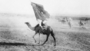 T E Lawrence, the Arab Revolt and the Middle East Now