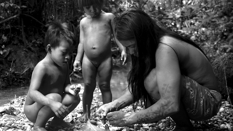 Yasuni Man + Q&A