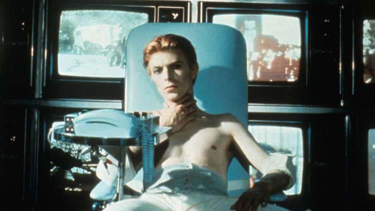 The Man Who Fell To Earth