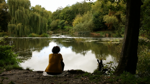Films and Documentaries