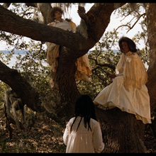 daughters of the dust