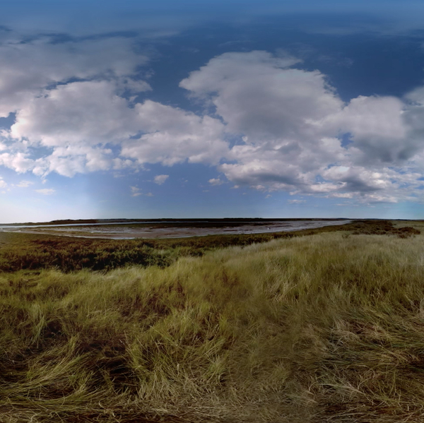 Natural Reality 2:1 by Dorothea Gibbs