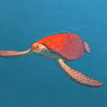 The Red Turtle