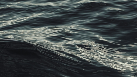 The Dark Sea