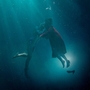 Deaf Conversations About Cinema: The Shape of Water