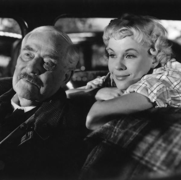 Wild Strawberries
