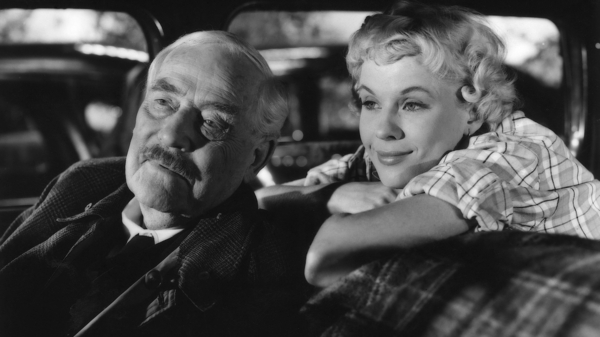 Wild Strawberries
