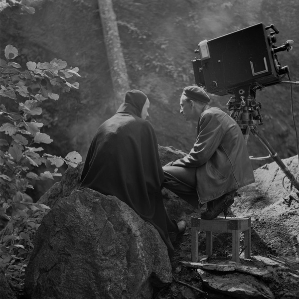 Beginners Guide to Bergman
