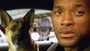 I Am Legend + Black Superheroes Discussion - Will and dog
