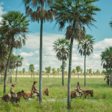 Zama