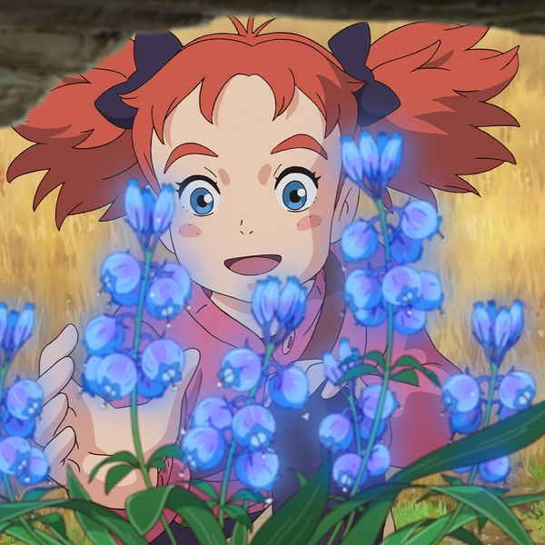 Mary And the Witch’s Flower