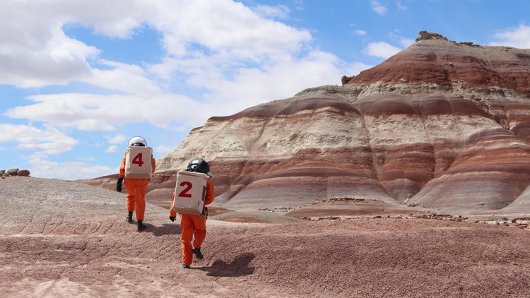 Building A Martian House