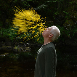 Leaning Into The Wind: Andy Goldsworthy