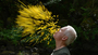 Leaning Into The Wind: Andy Goldsworthy
