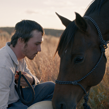 The Rider 