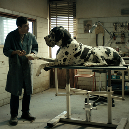 Dogman