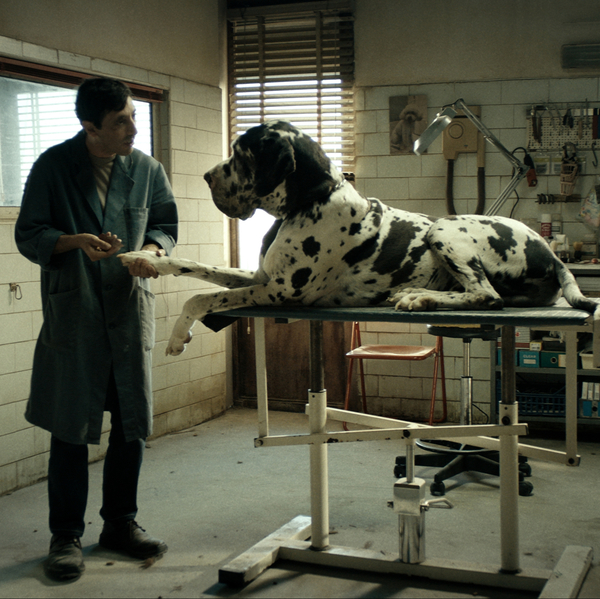 Dogman