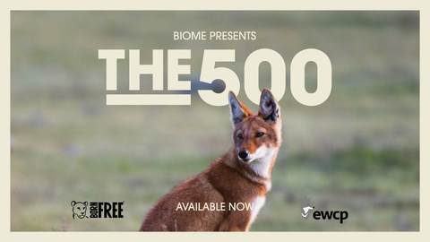 VR Theatre 4: The 500