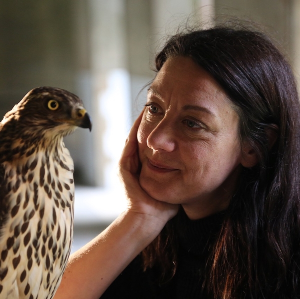 H is for Hawk + Q&A