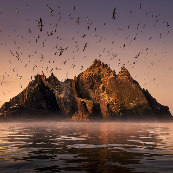 Wild Ireland: Edge of the World + Q&A