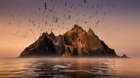 Wild Ireland: Edge of the World + Q&A