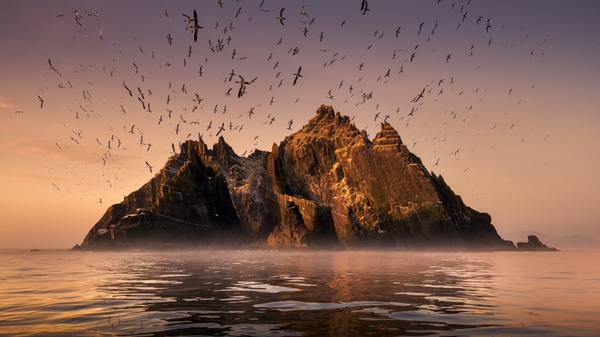 Wild Ireland: Edge of the World + Q&A