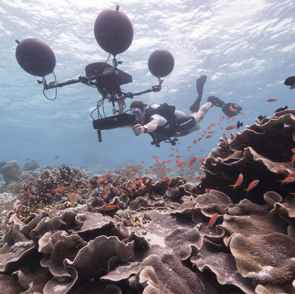 DOUBLE BILL: Blue Planet II - One Ocean / Our Blue Planet + Q&A