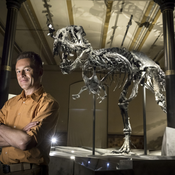 The Real T Rex with Chris Packham + Q&A