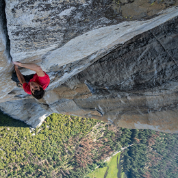 Free Solo