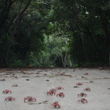 Island of Hungry Ghosts