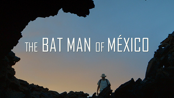 Panda Award Winner: The Batman of Mexico - info and ticket booking, Bristol  | Watershed