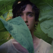 Happy as Lazzaro