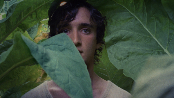 Happy as Lazzaro