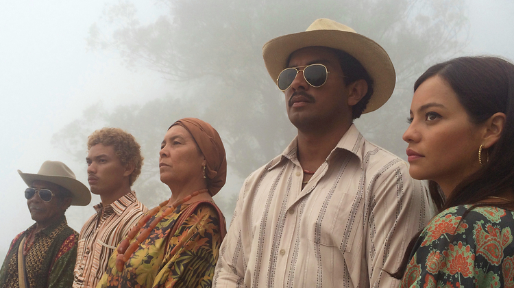 Birds of Passage