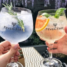 South West Gin Celebration: Free Tasting Event