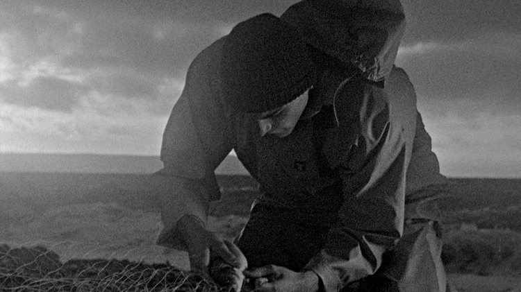 Preview: Bait + Q&A with Mark Jenkin