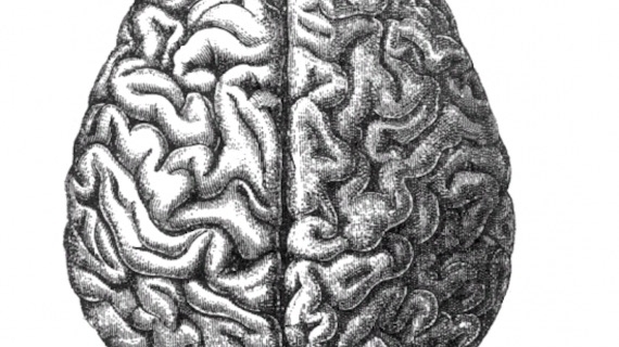 The Next Seven Billion AI Programs, a For Sceptics talk with studio resident Tim Kindberg