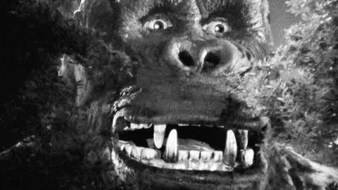 King Kong 