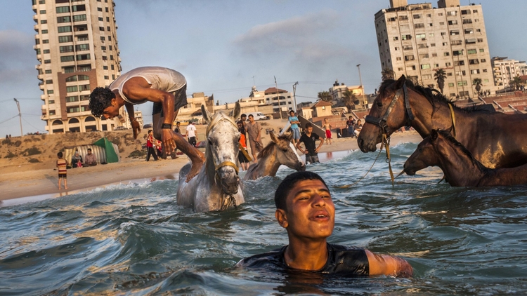 Gaza